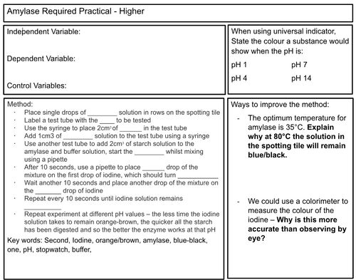 GCSE Biology Amylase Required Practical Worksheet | KS4 | AQA | OCR | Edexcel | PDF Digital Download