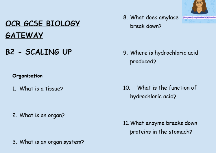 Scaling Up - GCSE Biology B2 Retrieval Questions | OCR Gateway Science