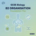 GCSE Biology B2 Organisation Foundation Tier - Retrieval Questions