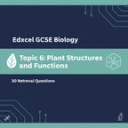 Edexcel GCSE Biology Topic 6: Plant Structures and Functions – 30 Retrieval Questions