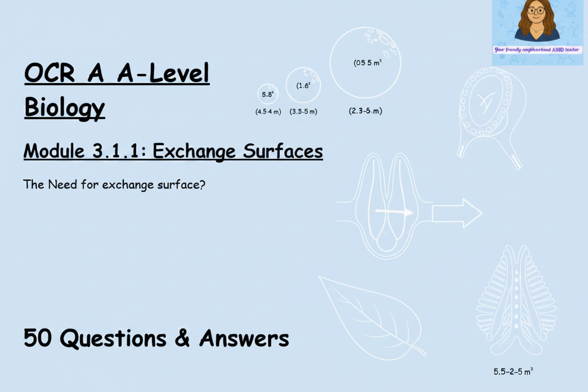 OCR A A-Level Biology Module 3.1.1 Exchange Surfaces 50 Questions and Answers