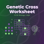 GCSE Biology Genetic Cross Worksheet