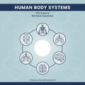 KS3 Science Human Body Systems Retrieval Questions worksheet cover