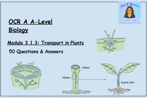 OCR A A-Level Biology: Module 3.1.3 Transport in Plants | 50 Questions & Answers