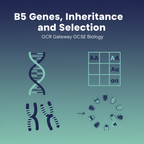 B5 Genes, Inheritance and Selection OCR Gateway GCSE Biology retrieval questions worksheet cover
